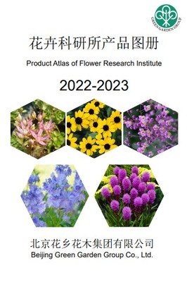 免費(fèi)制作翻頁電子書、電子畫冊(cè)和電子雜志的高效工具推薦